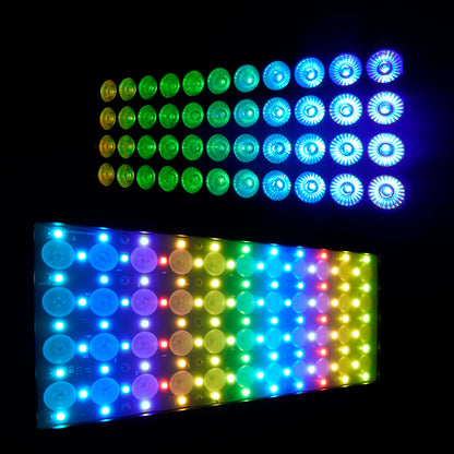 ShockCore Projecteur LED étanche 44x10W RGBW – Lentille givrée, zéro bruit, pour extérieur